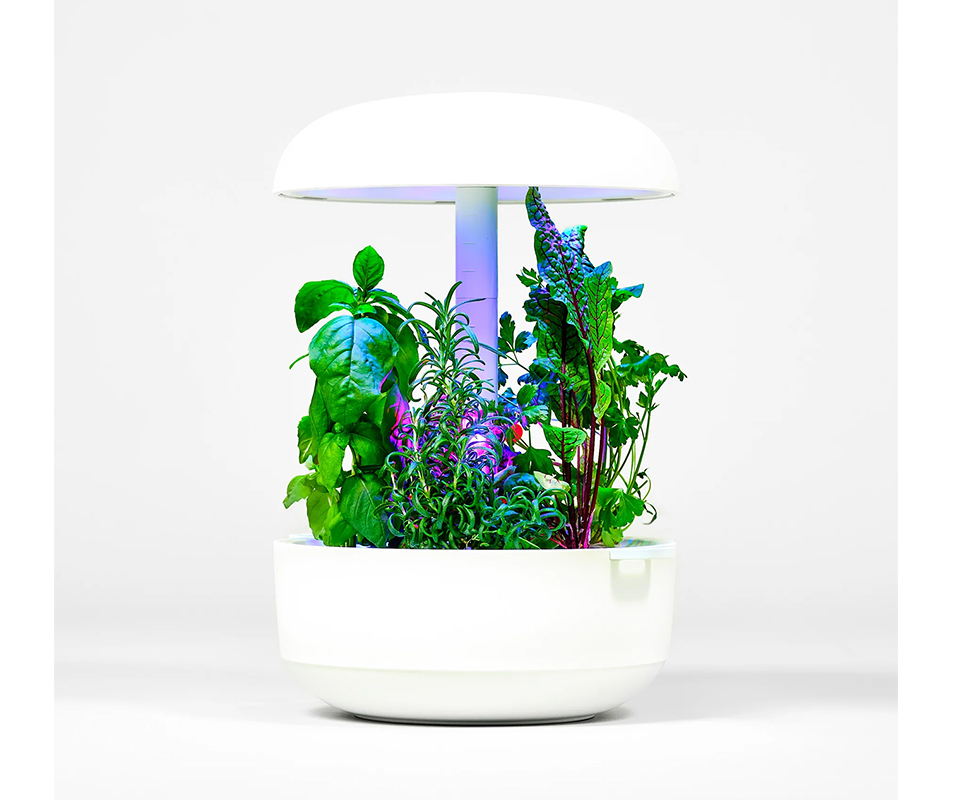 Coltivazione idroponica da banco smart automatizzata per 6 piante