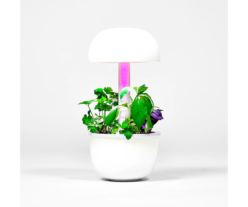 Giardino idroponico da banco smart automatizzato per 9 piante