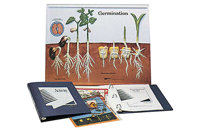 Modello sulla germinazione delle piante