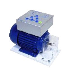 Motore didattico trifase a due velocità 220/150 w