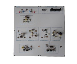 Trainer per lo studio delle onde am