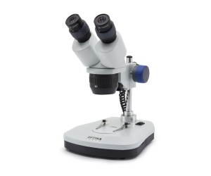 Stereomicroscopio binoculare 40x