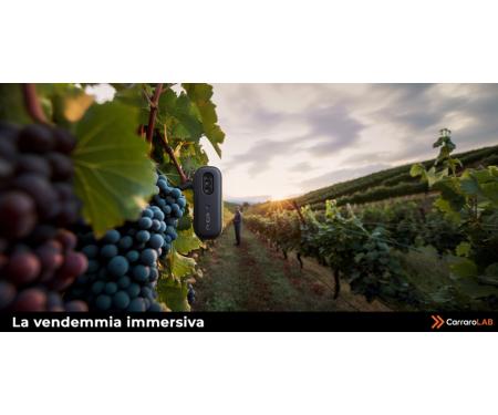 SIADCARRWINE.jpg